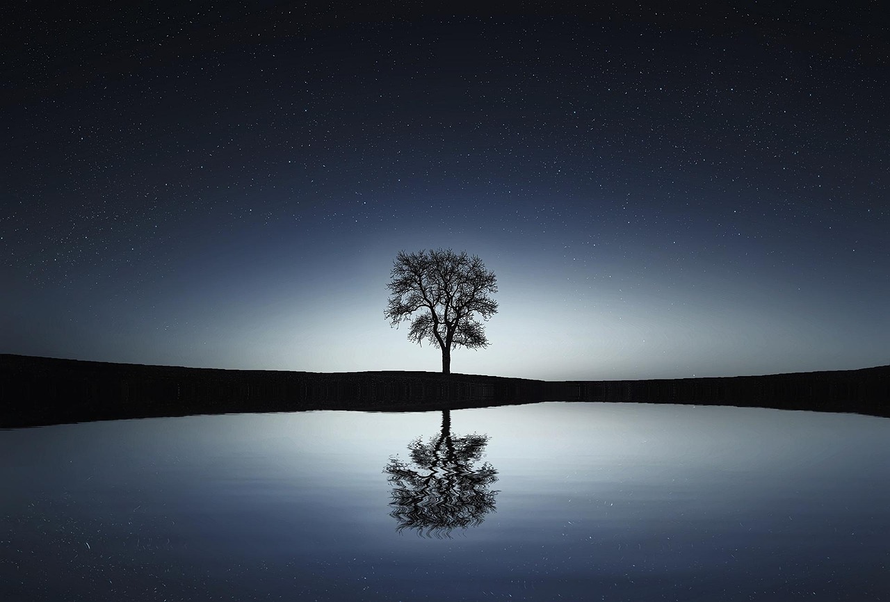 Arbre